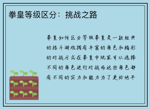 拳皇等级区分：挑战之路